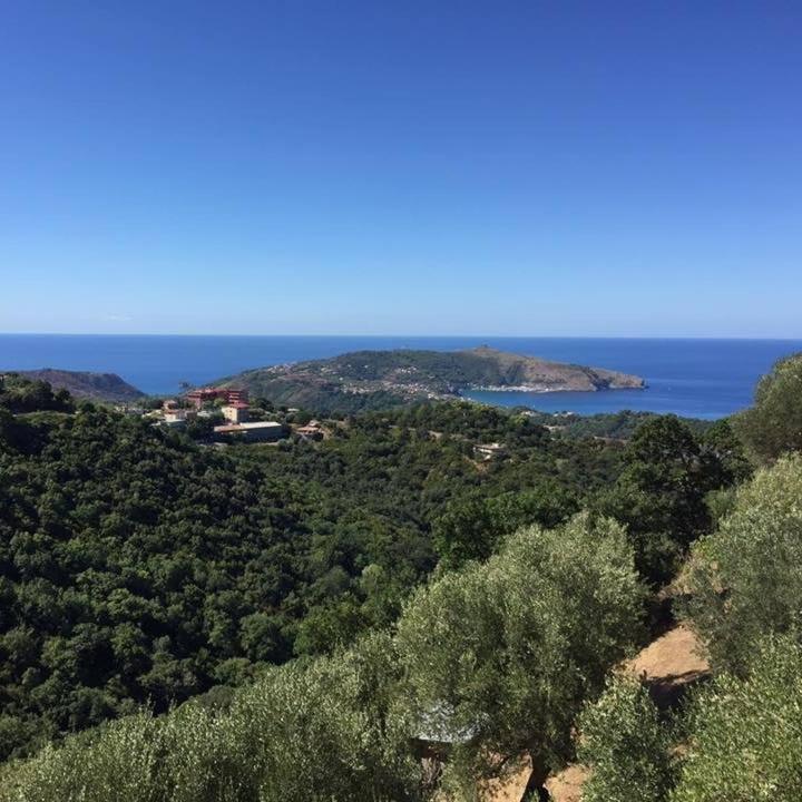 Casa Vacanze Domus Centola Esterno foto